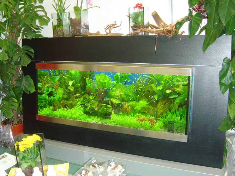 אקווריום ימי